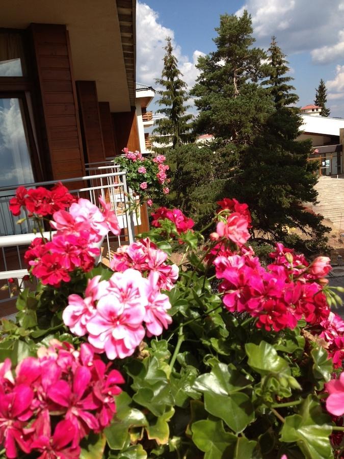 Dafovska Hotel Pamporovo Dış mekan fotoğraf